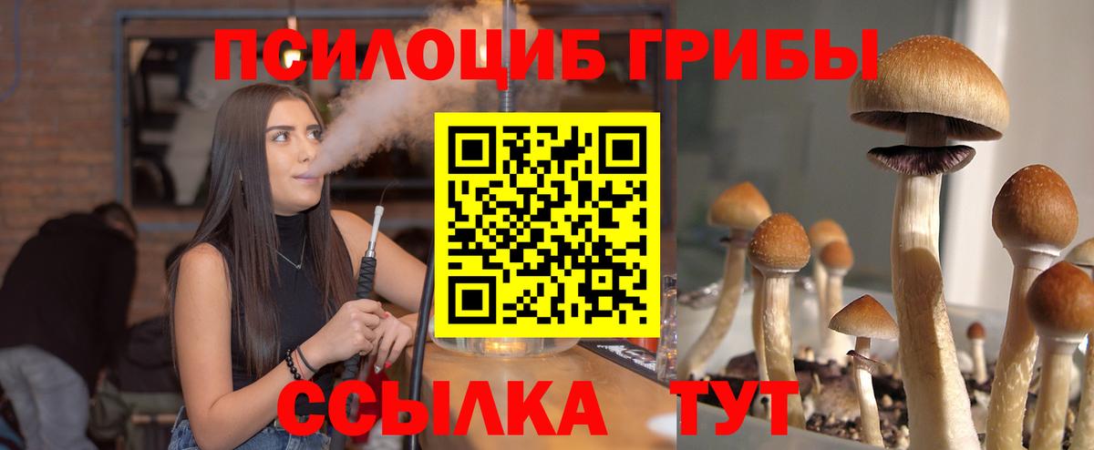Вичуга  Галлюциногенные грибы Psilocybine cubensis  Вход с VPN 